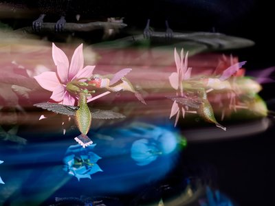 The Centrifugal Soul, 2016 (akryyli, alumiini, teräs, LED-valot, moottori, elektroniset piirit, hartsi ja maali). tekijältä Mat Collishaw