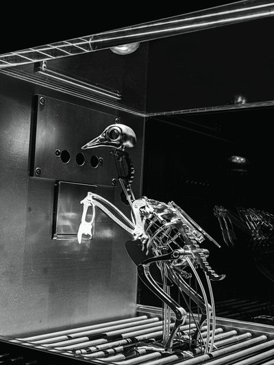 The Machine Zone, 2019 (teräs, alumiini, servomoottorit) tekijältä Mat Collishaw