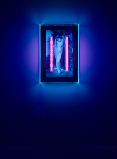 Ultravioletti enkeli, 2008 (Ultraviolettimuste pleksilasilaatikolle, 2 ultraviolettia neonvaloa) tekijältä Mat Collishaw