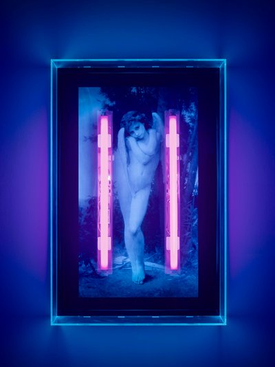 Ultravioletti enkeli, 2008 (Ultraviolettimuste pleksilasilaatikolle, 2 ultraviolettia neonvaloa) tekijältä Mat Collishaw
