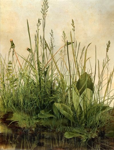 Whispering Weeds, 2011 (Puukehys, kehys, LCD-näyttö, tuuletin ja kiintolevy) tekijältä Mat Collishaw