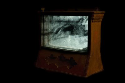 Wormery, 2009 (Puu, lasi, teräs, projektori ja soitin) tekijältä Mat Collishaw