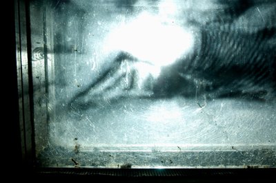 Wormery, 2009 (Puu, lasi, teräs, projektori ja soitin) tekijältä Mat Collishaw
