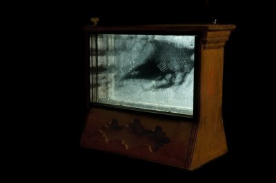 Wormery, 2009 (Puu, lasi, teräs, projektori ja soitin) tekijältä Mat Collishaw