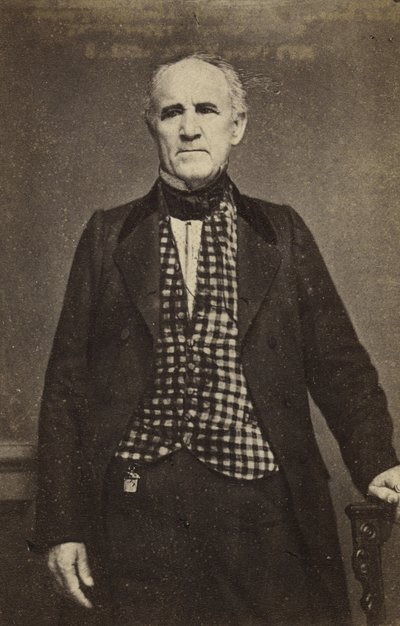 Sam Houston, n.1860-65 (valkeakangashopeapaino) tekijältä Mathew B. Brady