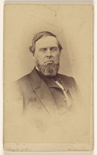 [Tuntematon parrakas mies, painettu vinjettityyliin] tekijältä Mathew B. Brady