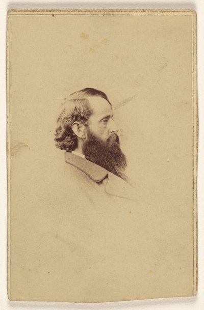 [Tunnistamaton pitkä parrakas mies profiilissa] tekijältä Mathew B. Brady