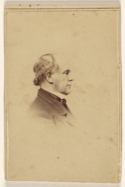 [Tunnistamaton mies sivukuvassa, painettu vinjettityyliin] tekijältä Mathew B. Brady
