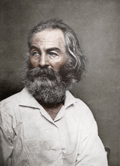 Walt Whitman, yhdysvaltalainen runoilija, 1880-luku. tekijältä Mathew B. Brady
