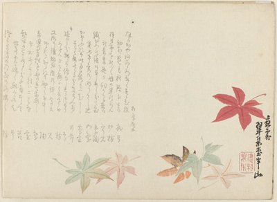 Japanilainen vaahtera tekijältä Matsukawa Hanzan