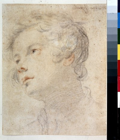 Pojan pää. Matteo Rossellin (1578-1650) maalaus. Liitu ja punainen liitu paperille tekijältä Matteo Rosselli