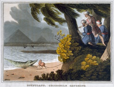 "Egyptiläiset, krokotiilien pyydystäminen", 1813 tekijältä Matthew Dubourg