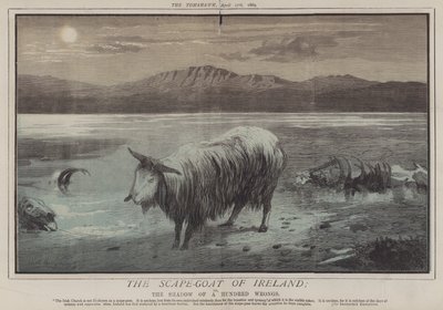 Irlannin Scape-Goat; tai Sadan väärän varjo (väri litho) tekijältä Matthew