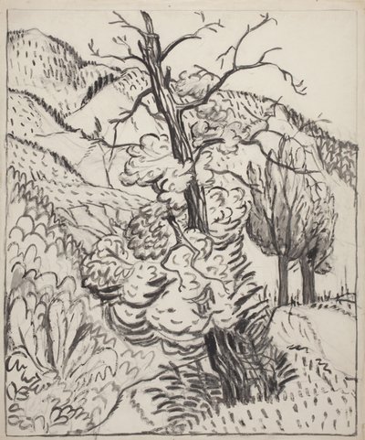Puu vuorenrinteellä, n.1930 (sivellin, muste ja hiili luonnonvalkoiselle paperiarkille). tekijältä Maud Hunt Squire