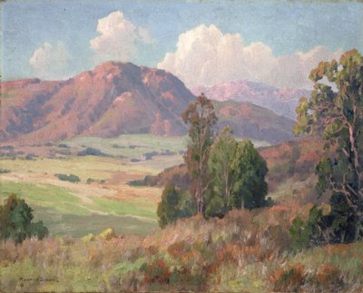 San Diego Hills (öljy kankaalle) tekijältä Maurice Braun