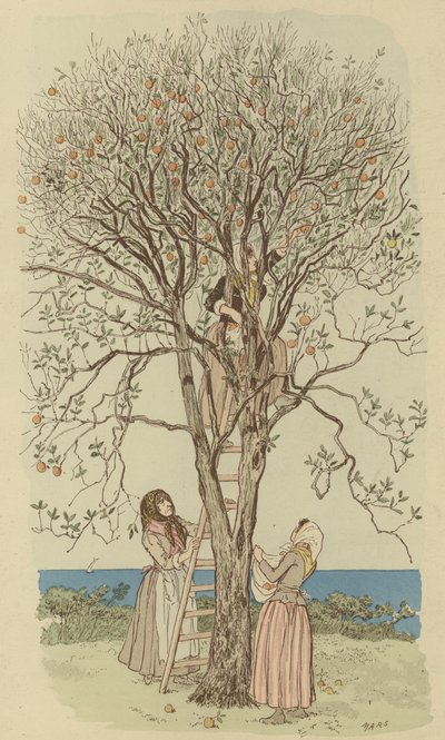 Appelsiinien poimiminen Välimerellä (väri litho) tekijältä Maurice Charles Mathieu Bonvoisin