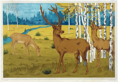 Deer, 