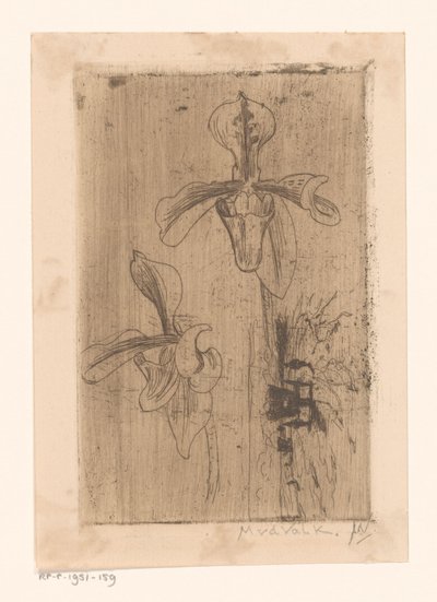 Kaksi orkideaa ja kärry rannalla tekijältä Maurits van der Valk (signed by artist)