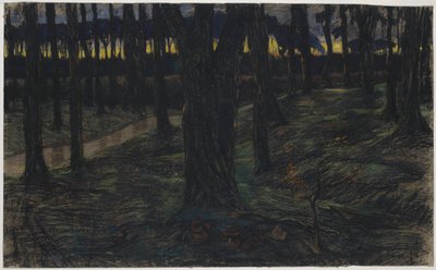 Metsänäkymä auringonlaskun aikaan tekijältä Maurits van der Valk