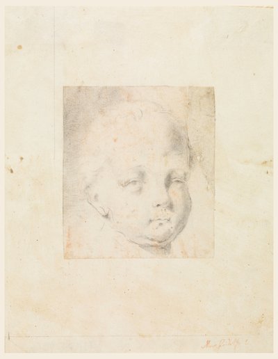 Piirustus, Tutkimus: 1810-34 tekijältä Mauro Gandolfi