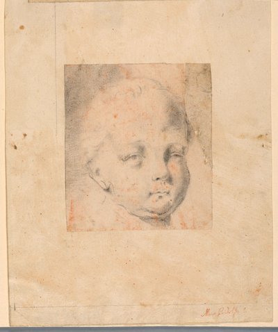 Piirustus, Tutkimus: 1810-34 tekijältä Mauro Gandolfi