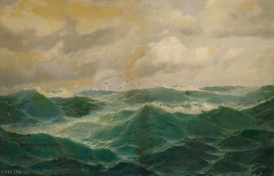 Lokkeja yli Choppy Seas tekijältä Max Jensen
