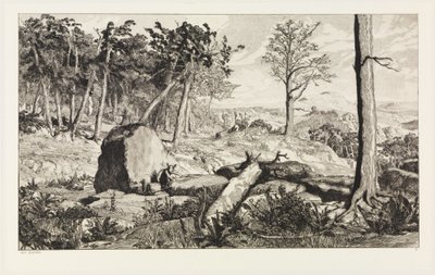 Simplicius metsän yksinäisyydessä (Intermezzi, opus IV, lehti 10) tekijältä Max Klinger