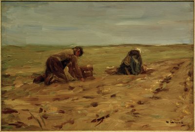 Kartoffelernte in den Dünen tekijältä Max Liebermann