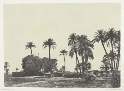 Hamamehin kylä, Ylä-Egypti, 184951, painettu 1852. tekijältä Maxime Du Camp
