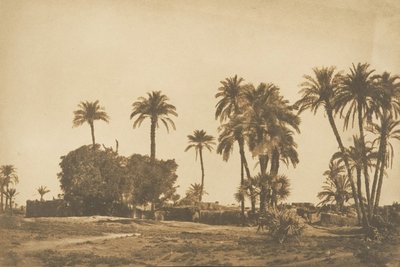 Näkymä Hamarnehin kylästä, lähellä Denderan oikeaa rantaa, 1849-50. tekijältä Maxime Du Camp