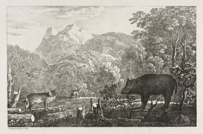 Villisika, villikissa ja ilves, 1807. tekijältä Maximilian Josef Wagenbauer