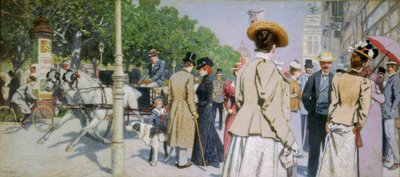 Sirkin kulma tekijältä Maximilian Lenz