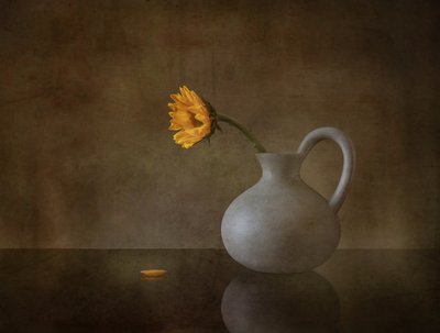  tekijältä May G