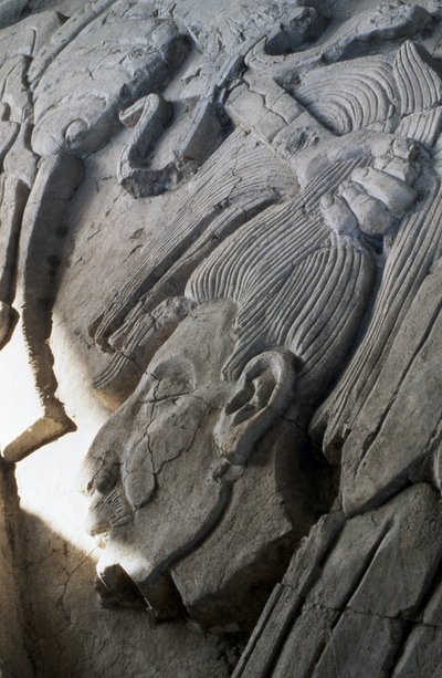 Reliefi pyramidilla, myöhäisklassinen aika (600-900 jKr) (stukko) tekijältä Mayan