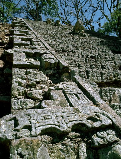 Näkymä hieroglyfiportaille, 743 jKr tekijältä Mayan