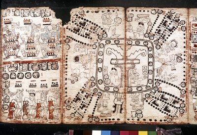 MAYA SIVISTYSTOIMINTA: Codex Tro-Cortesiano, 1400-luvun puoliväli (kuori-kasvikuitu). tekijältä Mayan Mayan