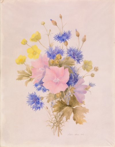 Flors de camp finlandeses tekijältä Melanie Marc