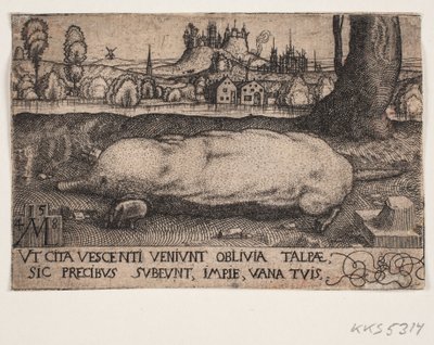 Myyrä tekijältä Melchior Lorck