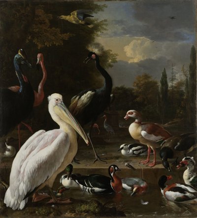 Pelikaani ja muut linnut lähellä uima-allasta, joka tunnetaan nimellä "Floating Feather", n. 1680 tekijältä Melchior de Hondecoeter