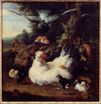 Kana ja poikaset Melchior Hondecoeterin (1636-1695) maalaus 1600-luvun Caen, Kuvataidemuseo tekijältä Melchior de Hondecoeter