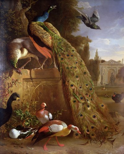 Peacock ja Peahen sokkelilla, ankkoja ja muita lintuja puistossa tekijältä Melchior de Hondecoeter