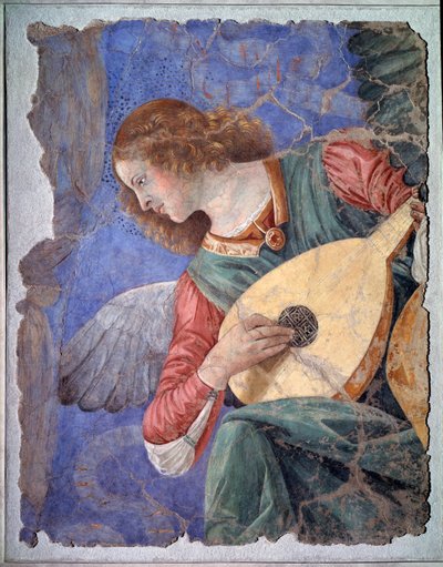 Enkeli soittaa luuttua, noin 1480 (irrallinen fresko) tekijältä Melozzo da Forli