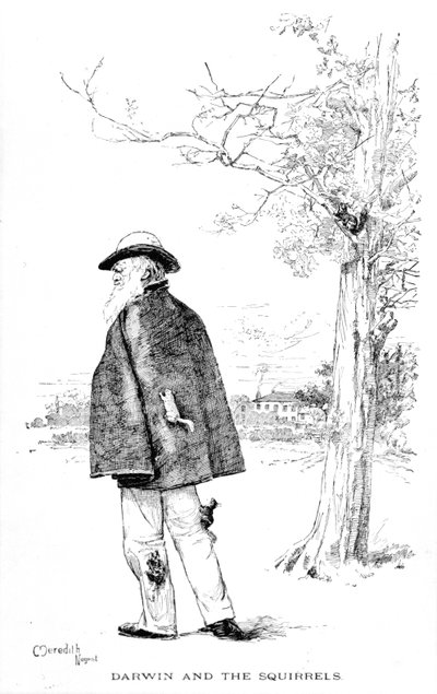 Darwin ja oravat, kuvitus Charles Darwinista, Charles Frederick Holderin elämä ja työ, 1899 tekijältä Meredith Nugent