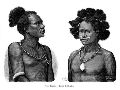 Papuan tyypit, 1800-luku tekijältä Mesples