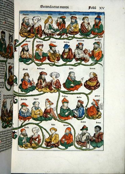 Sukututkimuspuu Hartmann Schedelin (1440-1514) Liber Chronicarum -teoksesta vuodelta 1493 (värillinen puupiirros). tekijältä Michael and Pleydenwurff W. Wolgemuth