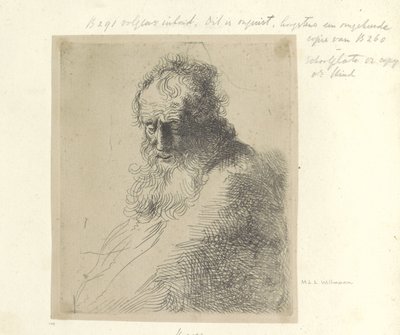 Bust van een oude mies tapasi baard Kokoelma kahdeksankymmentäviisi alkuperäistä vedosta (sarjan nimi) tekijältä Michael Willmann (attributed to)