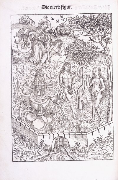 Aadam ja Eeva Eedenin puutarhassa, 1491 tekijältä Michael Wolgemuth