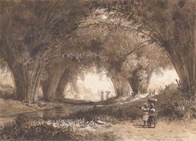Bamboo Arches, St. Anns tekijältä Michel Jean Cazabon
