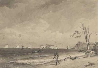 Los Gallos, Icacos Bay tekijältä Michel Jean Cazabon
