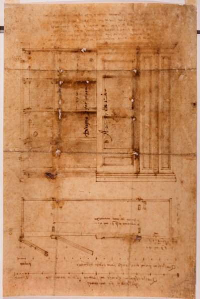 Kaapin piirustus tekijältä Michelangelo (after) Buonarroti